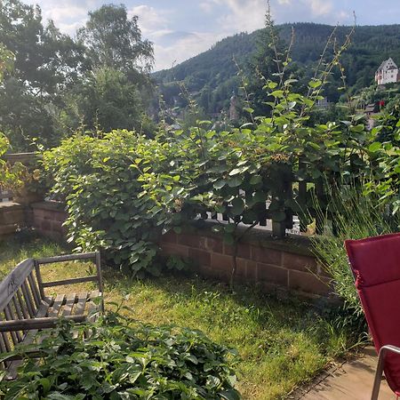 Panorama-Blick Miltenberg, 3 Pers., Zentr., Am Main, Terrasse, Bootverleih, P エクステリア 写真