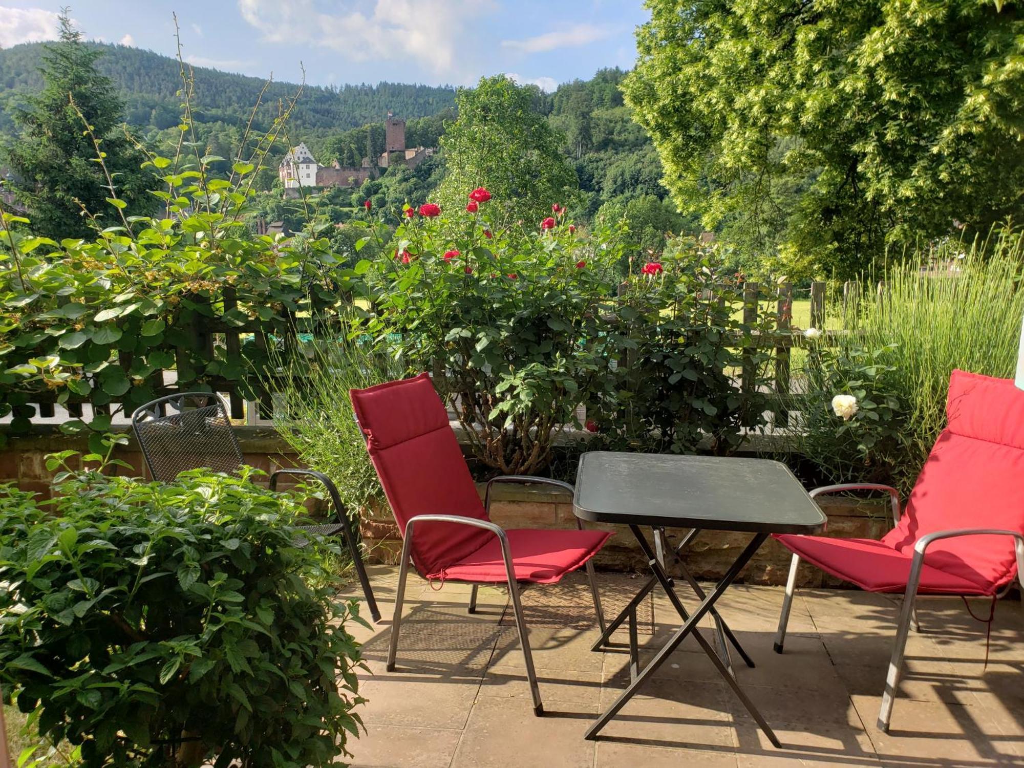 Panorama-Blick Miltenberg, 3 Pers., Zentr., Am Main, Terrasse, Bootverleih, P エクステリア 写真