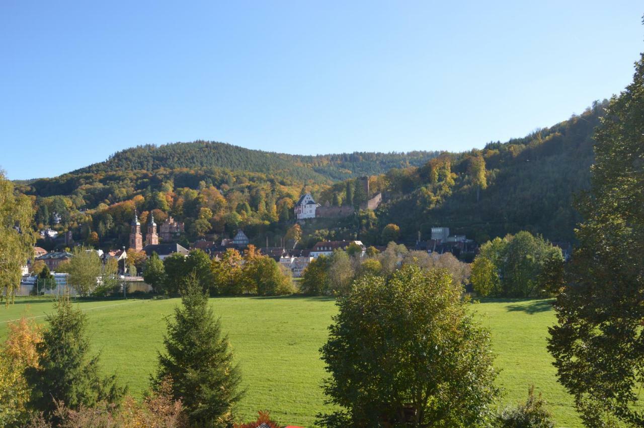 Panorama-Blick Miltenberg, 3 Pers., Zentr., Am Main, Terrasse, Bootverleih, P エクステリア 写真