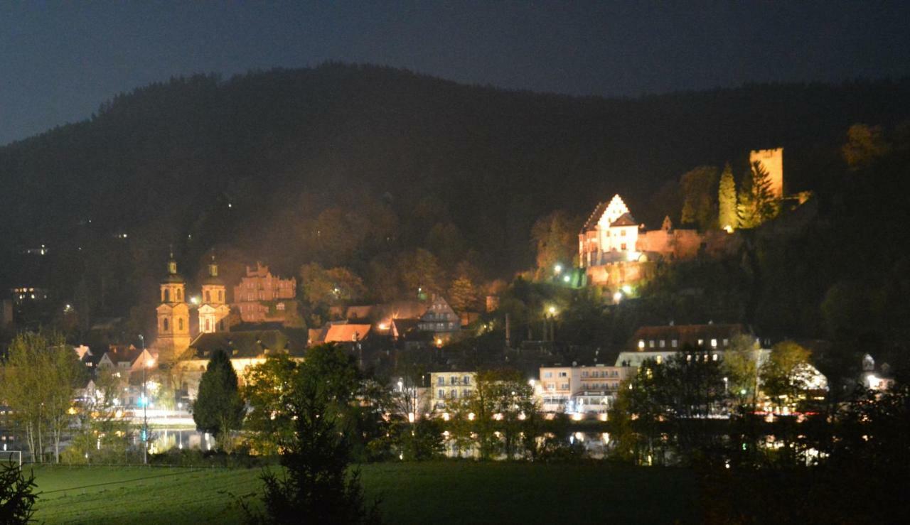 Panorama-Blick Miltenberg, 3 Pers., Zentr., Am Main, Terrasse, Bootverleih, Pアパートメント エクステリア 写真