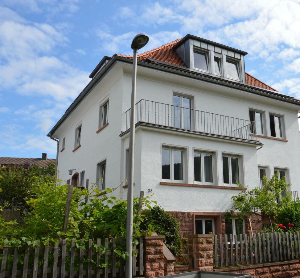 Panorama-Blick Miltenberg, 3 Pers., Zentr., Am Main, Terrasse, Bootverleih, Pアパートメント エクステリア 写真