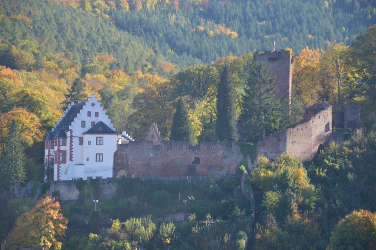 Panorama-Blick Miltenberg, 3 Pers., Zentr., Am Main, Terrasse, Bootverleih, Pアパートメント エクステリア 写真