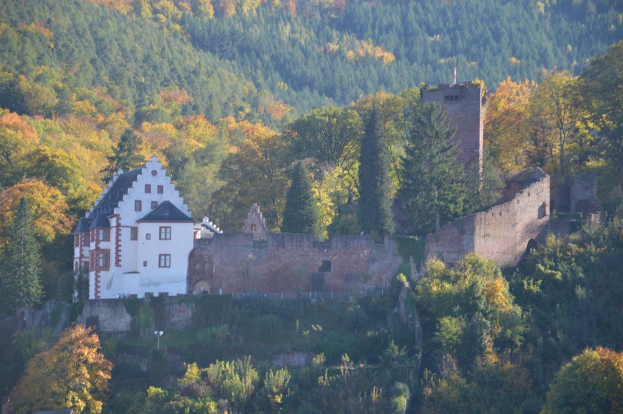 Panorama-Blick Miltenberg, 3 Pers., Zentr., Am Main, Terrasse, Bootverleih, P エクステリア 写真