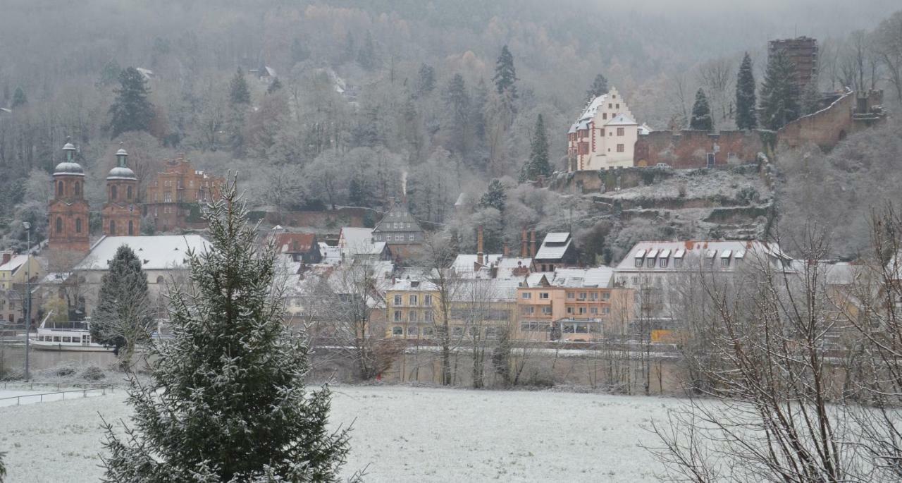 Panorama-Blick Miltenberg, 3 Pers., Zentr., Am Main, Terrasse, Bootverleih, P エクステリア 写真