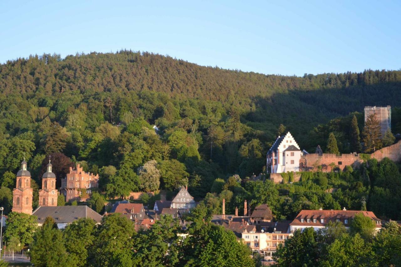 Panorama-Blick Miltenberg, 3 Pers., Zentr., Am Main, Terrasse, Bootverleih, P エクステリア 写真
