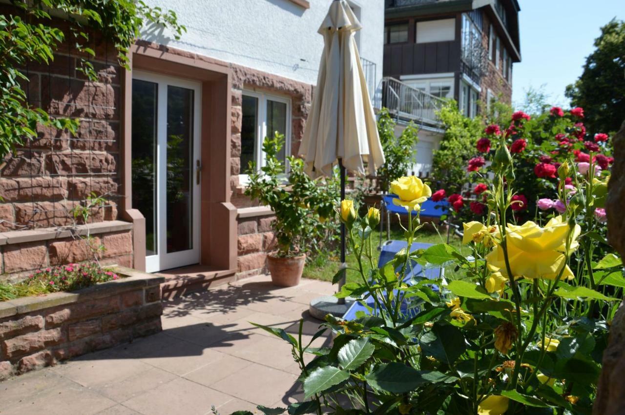 Panorama-Blick Miltenberg, 3 Pers., Zentr., Am Main, Terrasse, Bootverleih, Pアパートメント エクステリア 写真